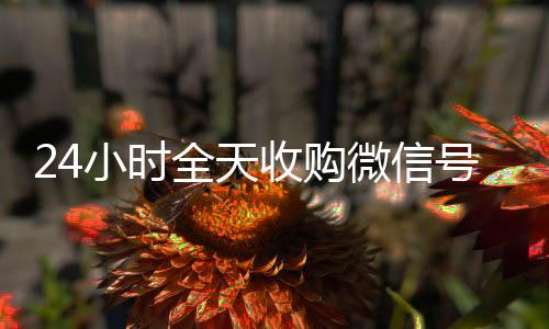24小时全天收24小时全天回收vx购微信号（私人回收联系方式）